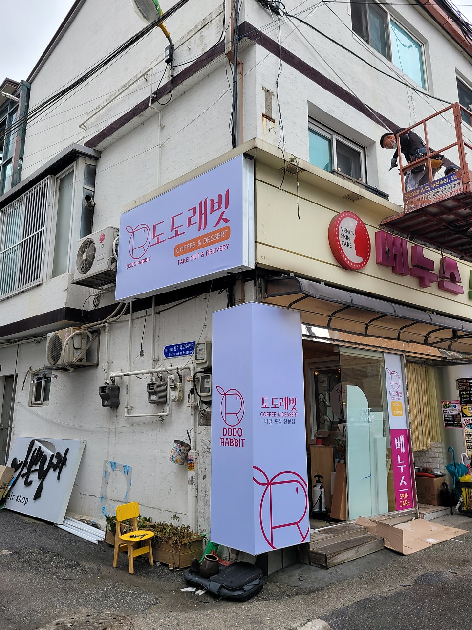 도도래빗 이미지