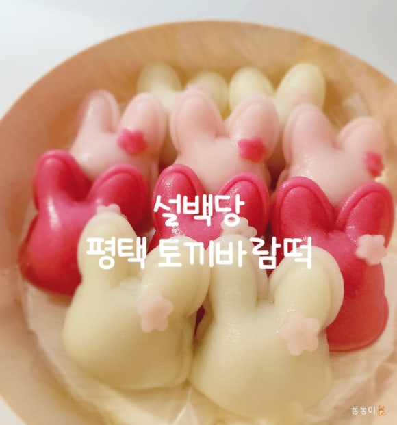 설백당 이미지