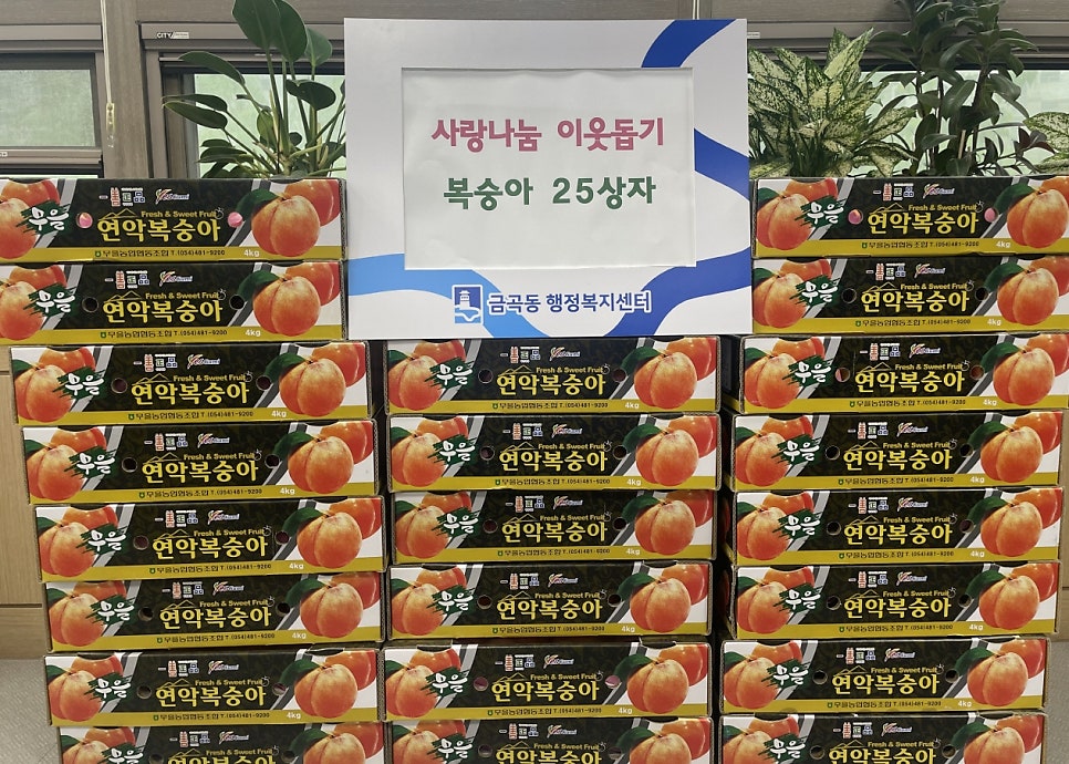 금곡과일 이미지
