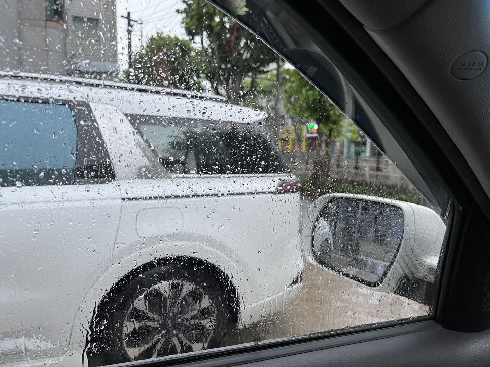 블루윈드 이미지