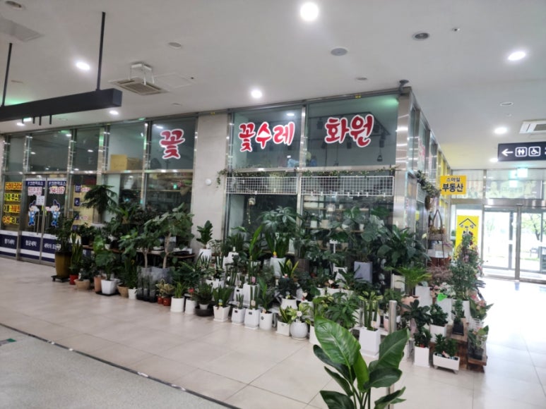 꽃수레화원 이미지