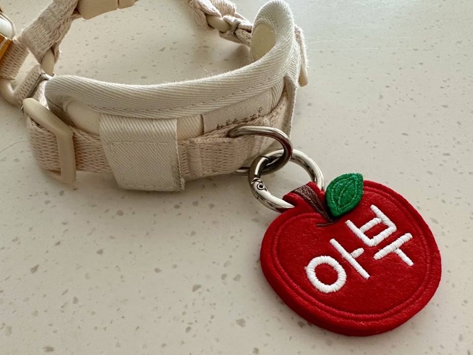 애플텍 이미지