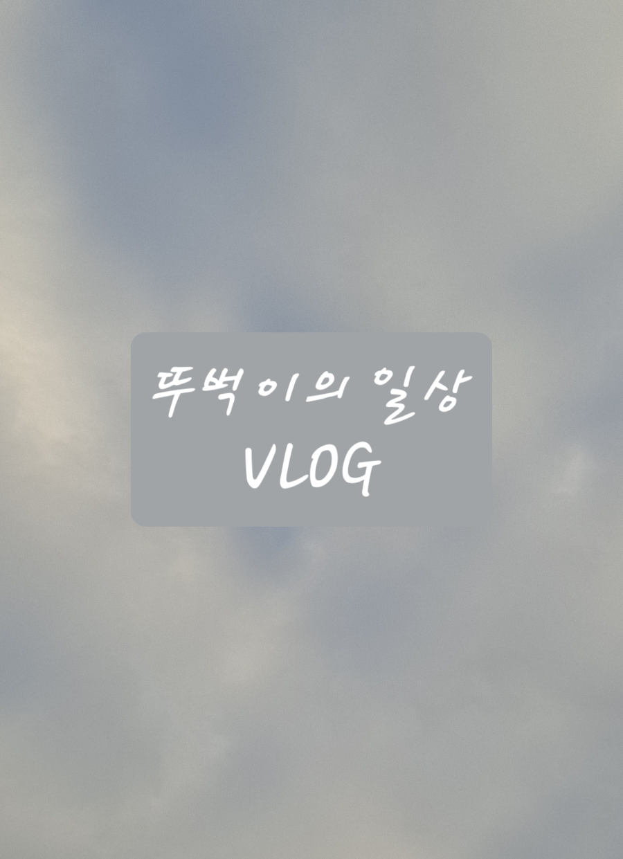 아산가야밀면 이미지