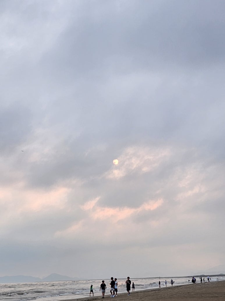 꼬김빱다대 이미지