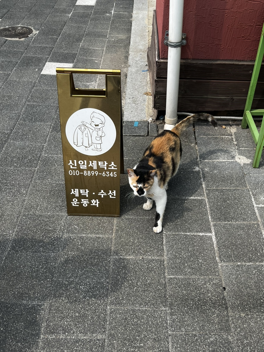 신일세탁소 이미지