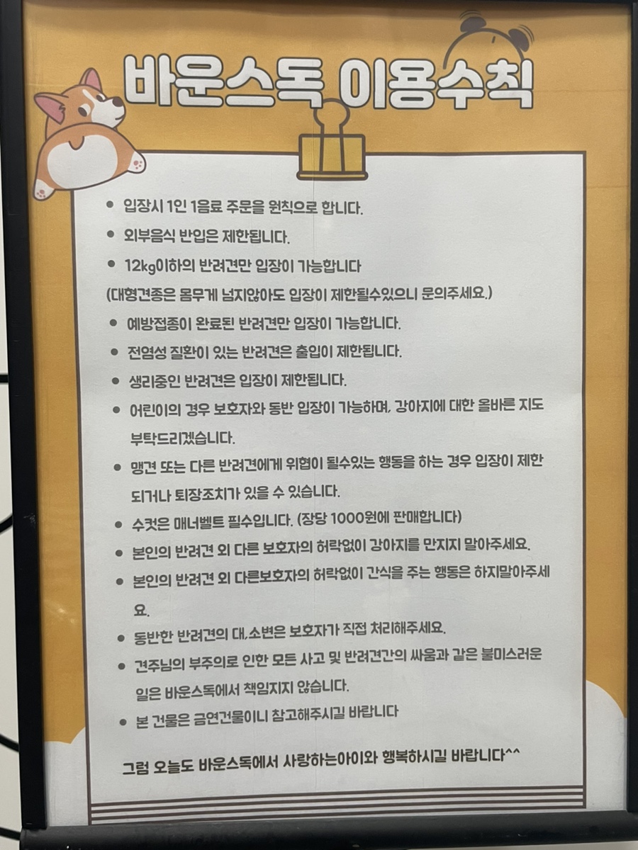 바운스독카페 이미지