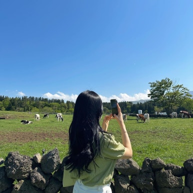 아솥 이미지