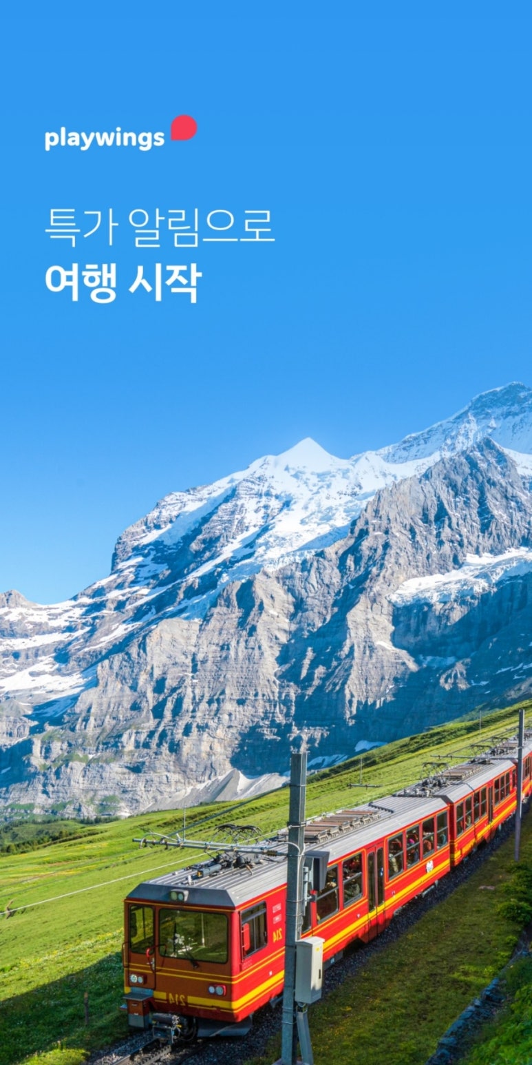 플라윙스 이미지