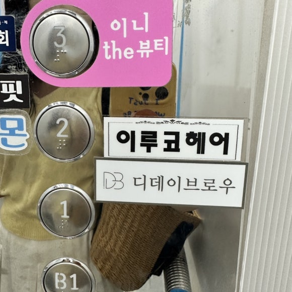 디데이브로우 이미지