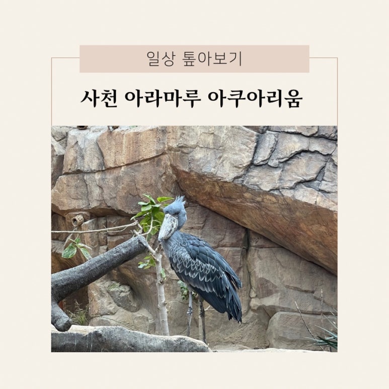 아라마루푸드코트 이미지