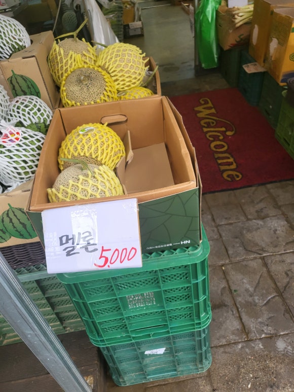 토마토의농비어천가 이미지