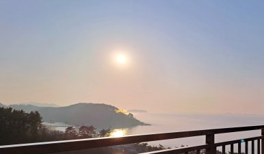 비단바라기 이미지