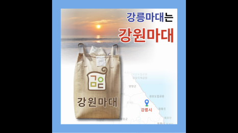 강원원주마대 이미지
