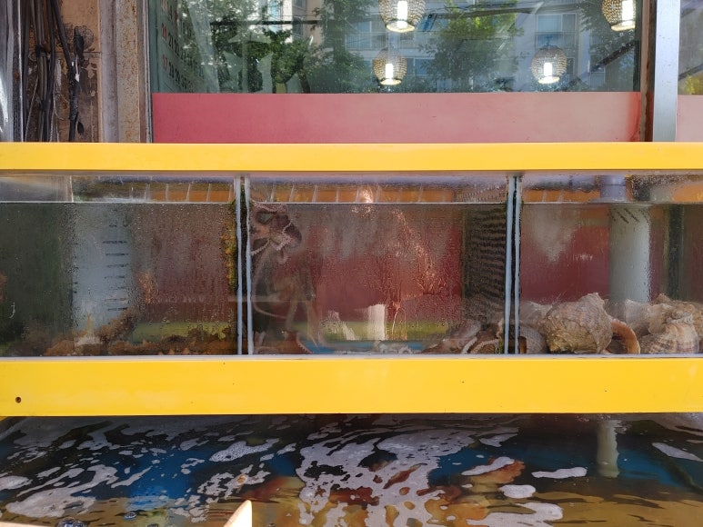 사계절포차 이미지