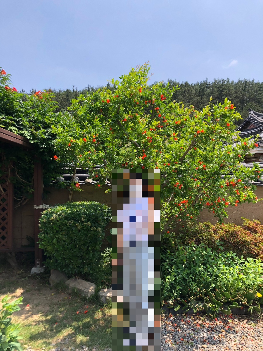 내앞댁 이미지