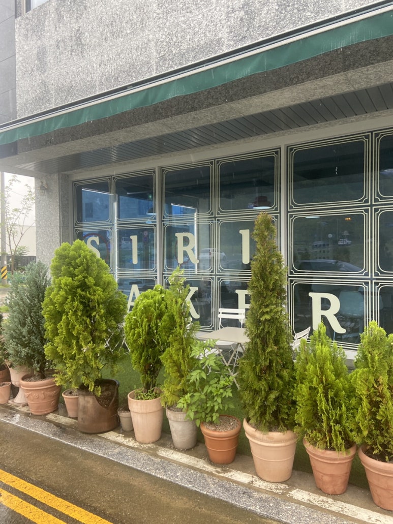 시리베이커리문성점 이미지