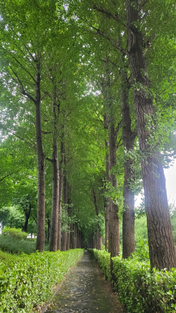 광;카페더라이트 이미지