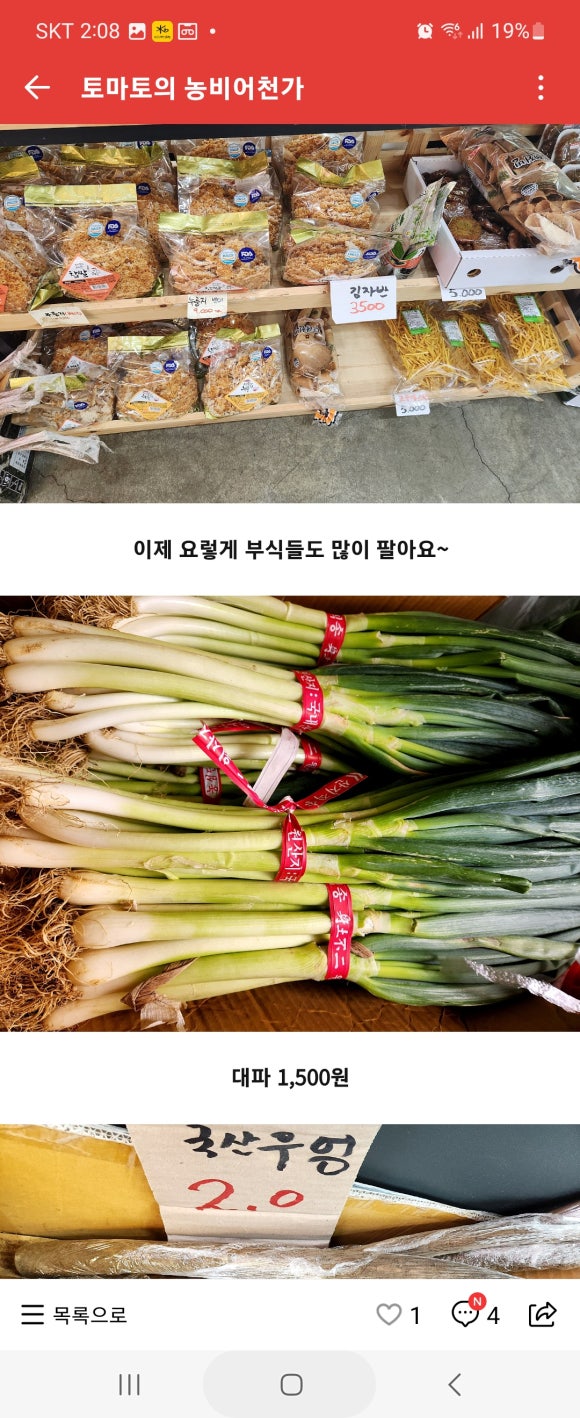 토마토의농비어천가 이미지