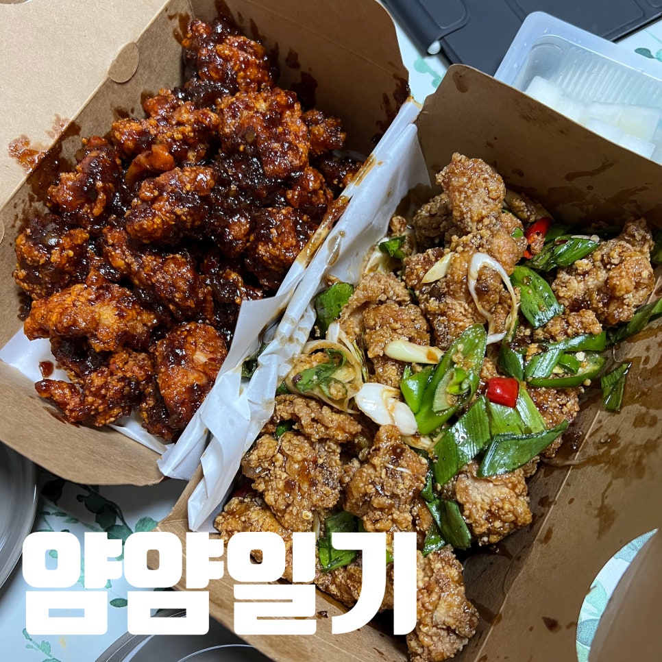 삼촌치킨성내점 이미지