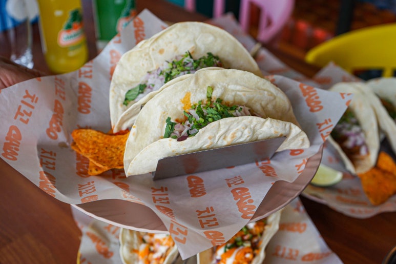 치꼬 이미지