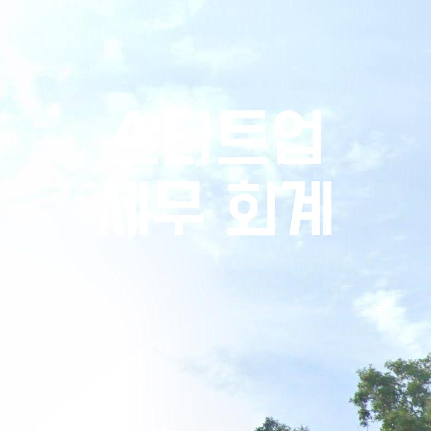 세무회계솔루션 이미지