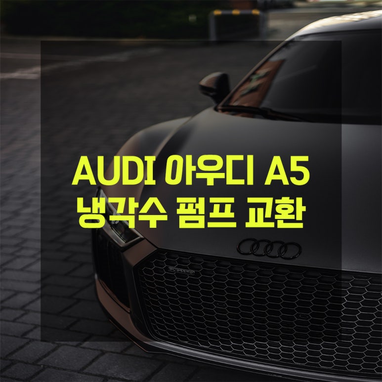 대관령모터스 이미지