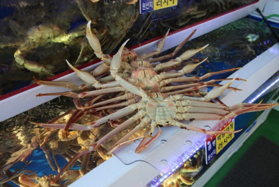 청담물회 이미지