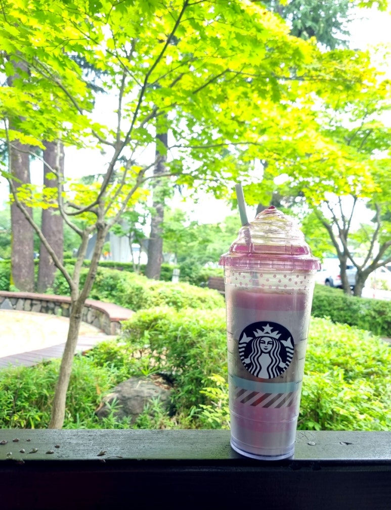 빽다방진주 이미지