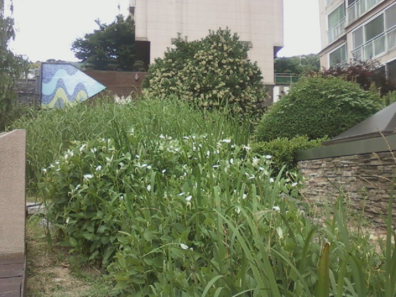(CS)편의마트 이미지