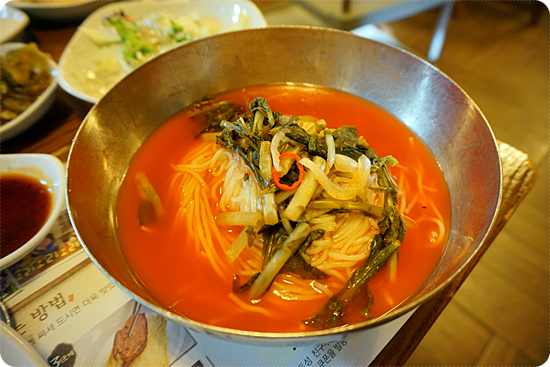 토성오리 이미지