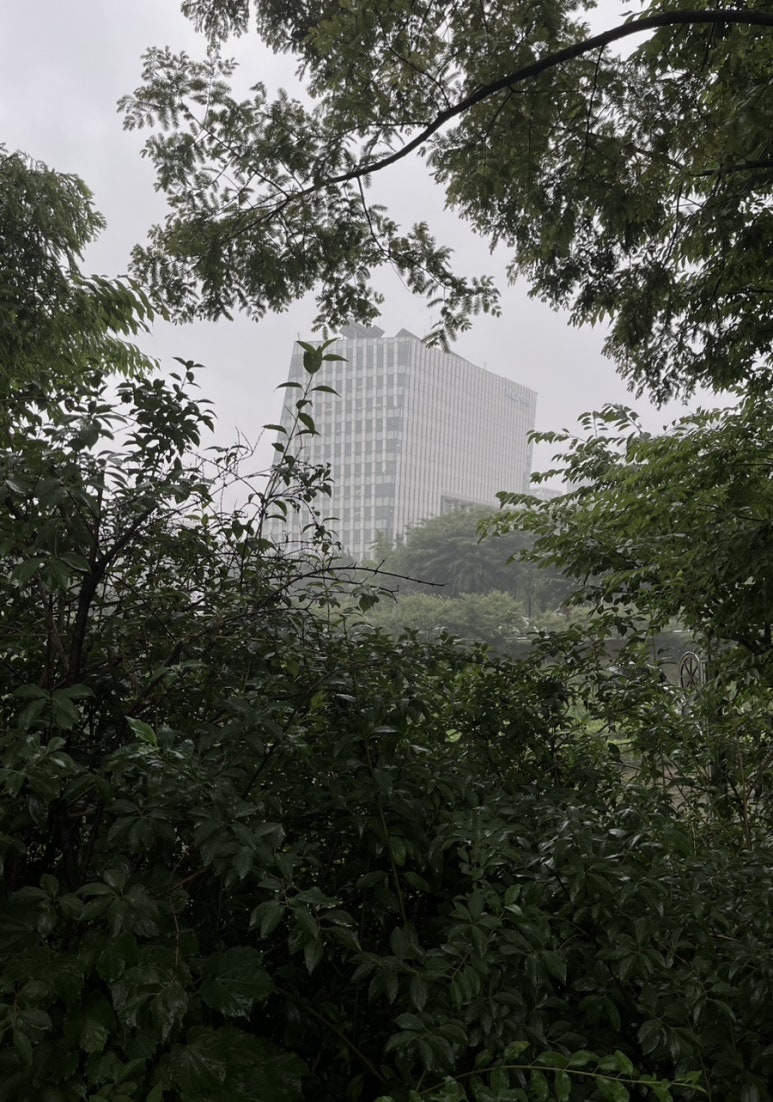 도토리노래연습장 이미지
