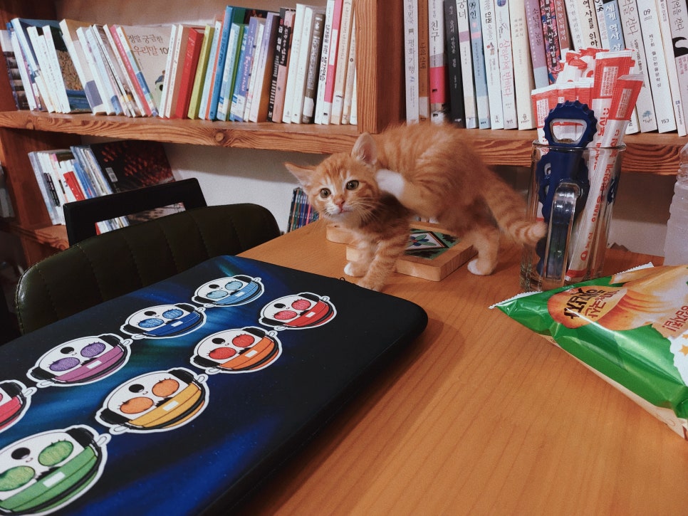 달봉이민박 이미지