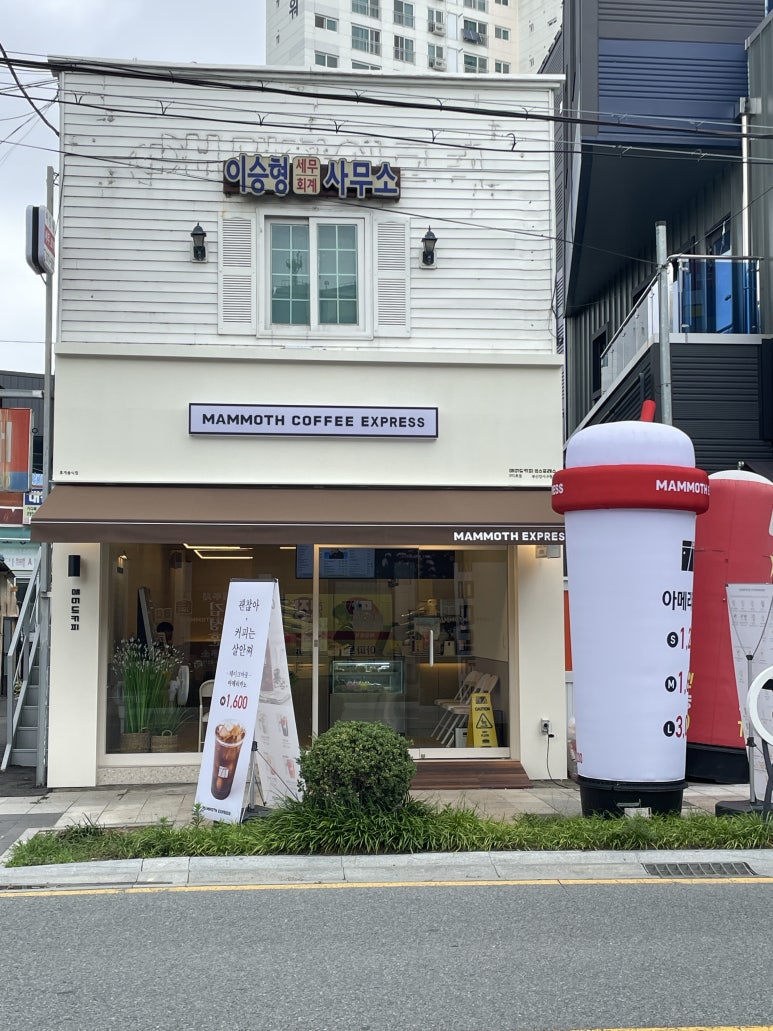 땅땅치킨강서구청점 이미지