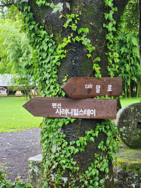 사려니힐스테이 이미지