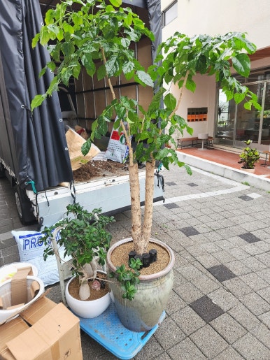 하나로꽃농원 이미지