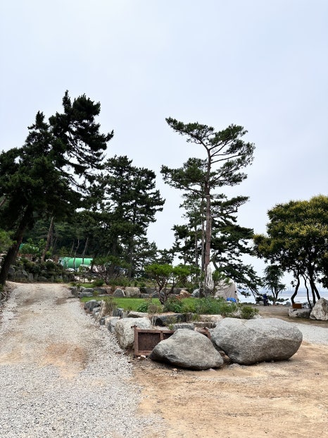 서해굿마트 이미지
