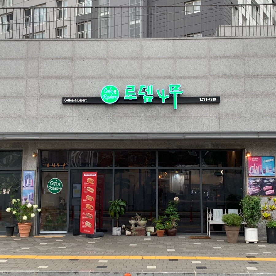 로뎀트리로뎀나무 이미지