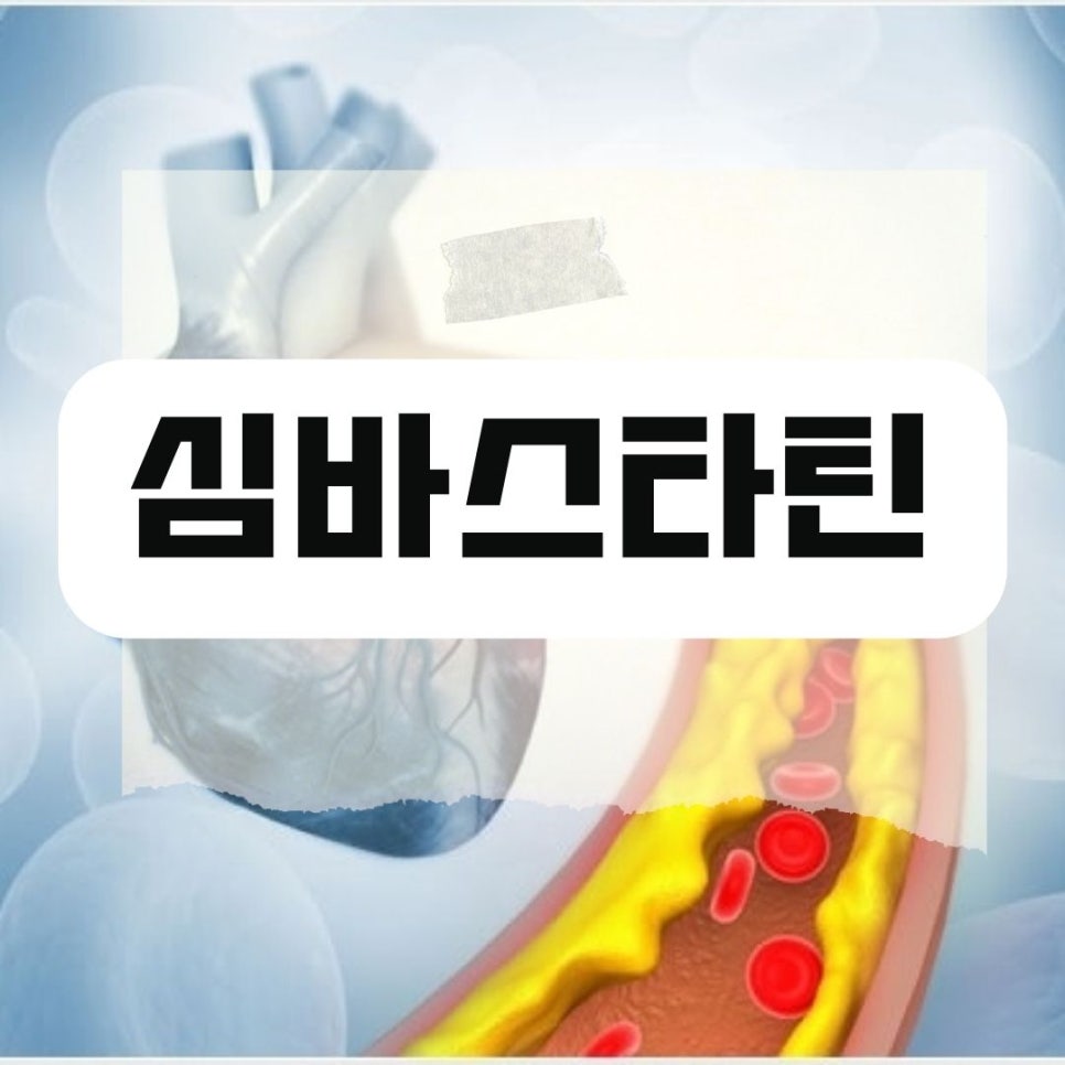 브이비엘 이미지