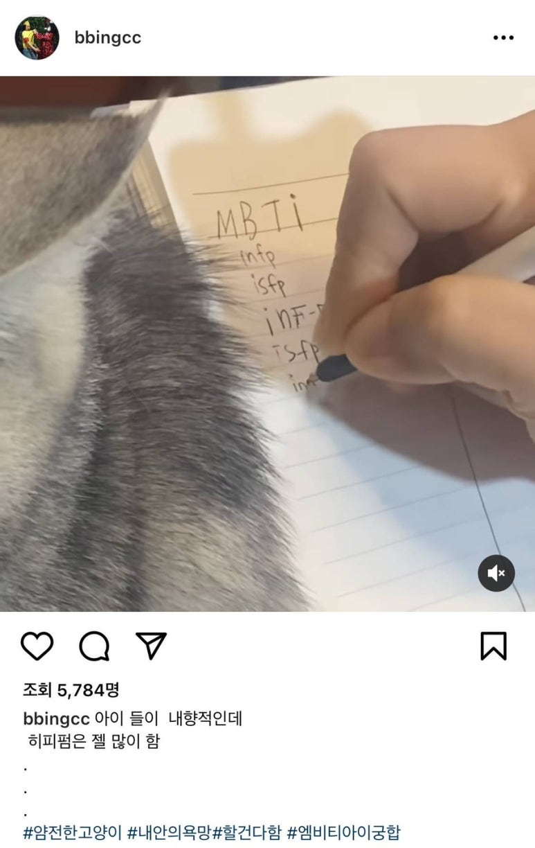 안일미용실 이미지