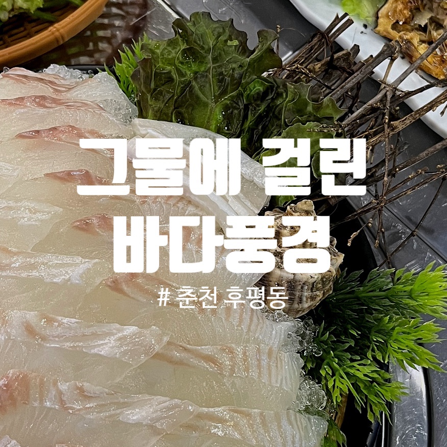그물에걸린바다풍경 이미지