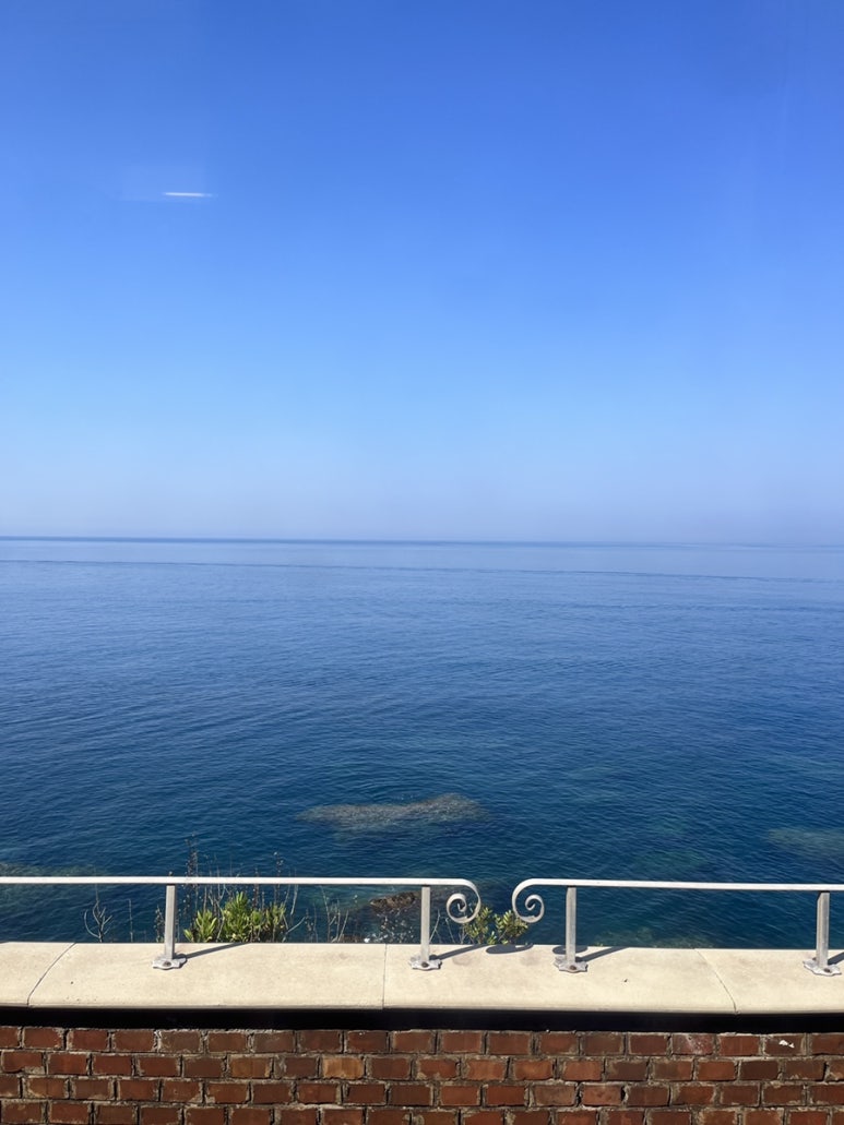 다멜로 이미지