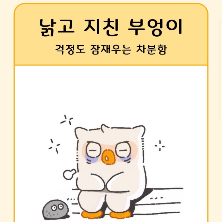 프로토콜 쇼룸 이미지