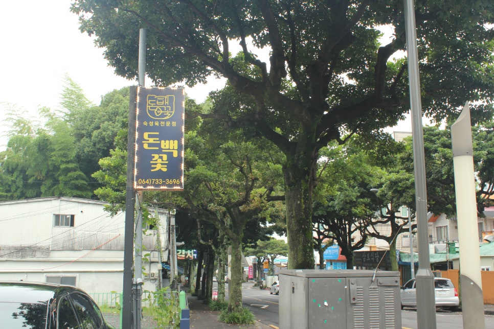 돈백꽃서귀포점 이미지