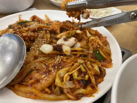 사이카쿠 이미지