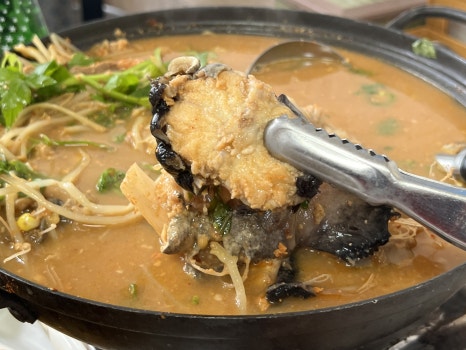 아구조아 이미지