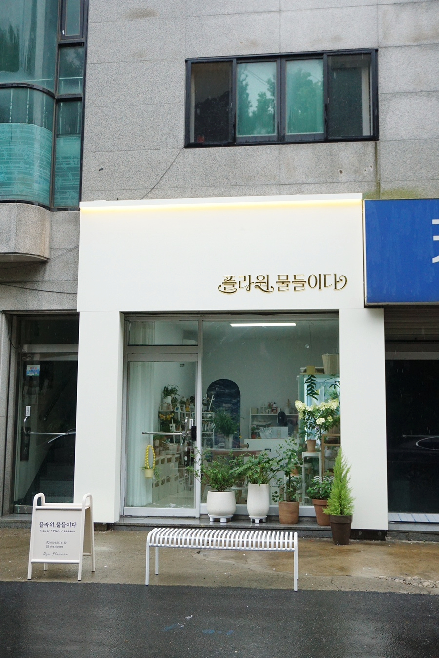 플라워물들이다 이미지