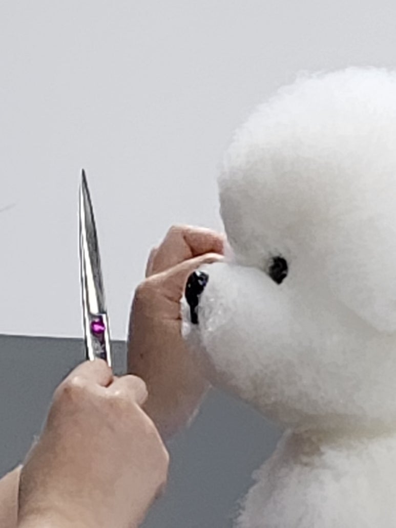 구미펫직업훈련학원 이미지