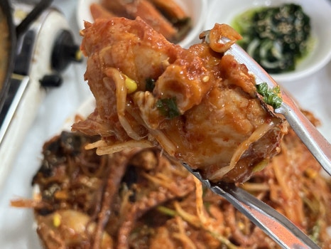 아구조아 이미지
