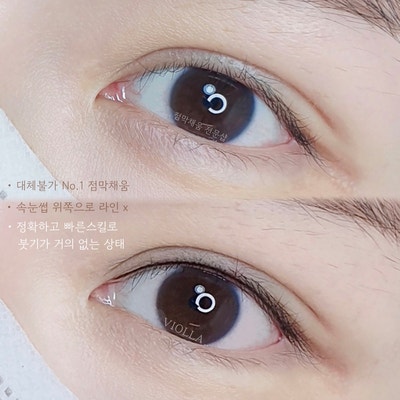 비올라(violla) 이미지