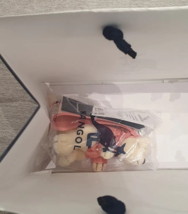 캉골현대 이미지